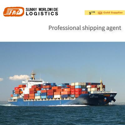 China Professional Freight Forwarder Amazon FBA Shipping to New York USA FBA Shipping - USA 17 for sale