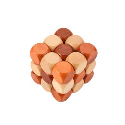 China 3D IQ Game Wooden Riddle Puzzles Toy for Adults and Children Wooden Interlocking Brain Teaser 3D Burr Puzzles Game Toy For IQ of Adults and Children for sale