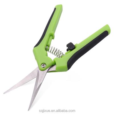 China Anti-Slip Grip Green Leaf Grape Cutting Mini Hand Secateurs Pruning Shears Garden Tools Pruner for sale