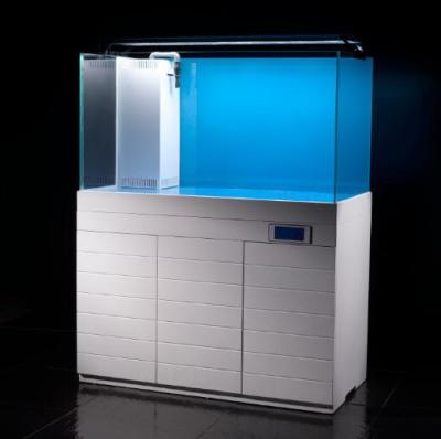 China Viable professional crovd aquarium curved glass aquarium with cabinet for sale