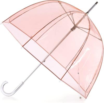 China Customized Logo Apollo Poe Pvc Color Dome Transparent Umbrella For Lady Hot Promotion for sale