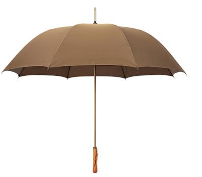 China Minimalist Design Style 27inch 8K 190T Pongee Luxury Umbrella for Hanging Advertising for sale