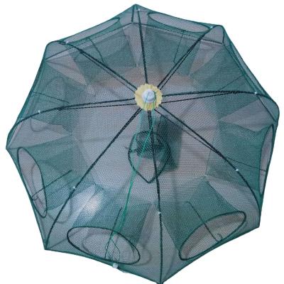 Chine Réseau de parapluie de cage à poissons pliable multicouche pour cage à crevettes en plastique/métal par filet à vendre