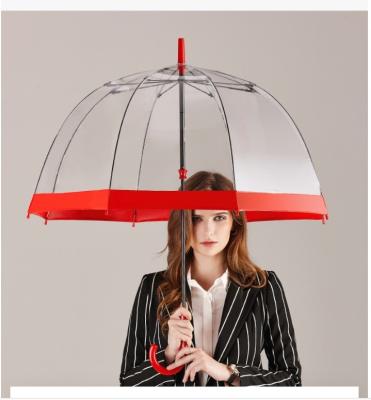 China Stylish Dome Shape Clear PVC Plastic Rain Umbrella for Adults Apollo Minimalist Design for sale