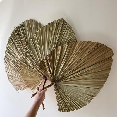 China Natural touch wedding decoration backdrop dried palm leaves for wedding decoration home natural color bedroom wholesale palm tree for sale