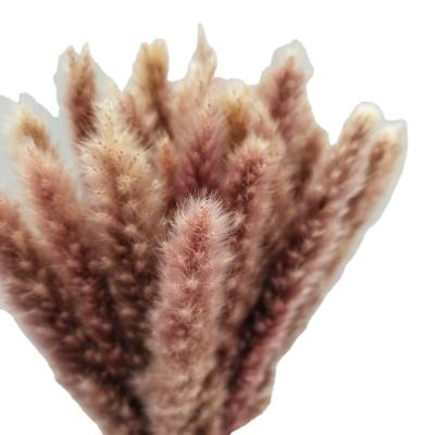 China Romantic Real Preserved Flowers Pampas Grass Natural Dry Fluffy Flowers Pampas Grass For Home Decoration Wedding Decor And Shop Party Decor for sale