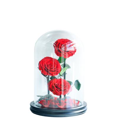 China Gifts To Lover Christmas Gift Ideas 2020 Hot Roses Preserved Forever Roses In Glass Dome for sale