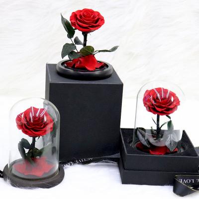 China Wedding Decoation Valentines Day Gifts Multiple Colors Preserved Eternal Real Rose Flower In Glass Dome for sale