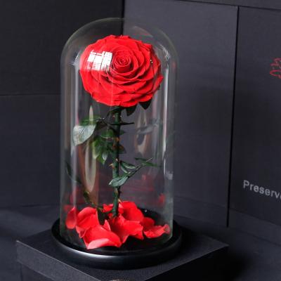 China 2020 Hot Selling Lover's Gifts Decorative Flowers Preserved Roses In Glass Dome for sale