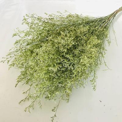 China Real Romantic Preserved Flowers Country Home Decor Dried Yellow Flower Lover Grass Limonium Flower for Decorative Flowers and Garlands for sale