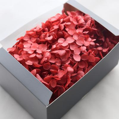 China Real Romantic Preserved Flowers Hot Sale 2020 Wholesale Natural Preserved Hydrangea Flowers for sale