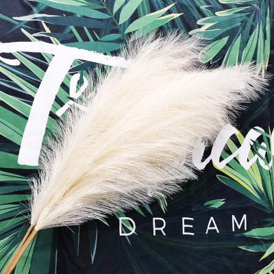 China The Hand Made Fake Pampas Grass Artificial Preserved Pampas Grass Big Faux Plant Fluffy Great For Home Decorative for sale