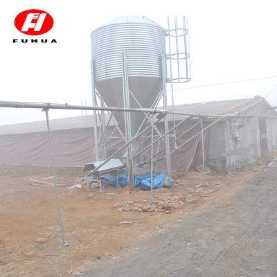 China High quality durable coreless auger pan feed line for poultry in china for sale