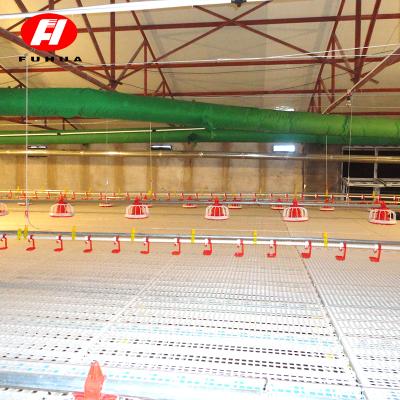 China Hot Selling Farms Products Broiler Poultry Shed Design Factory Supplier for sale