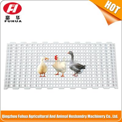 China Poultry house hot sale! Fuhua Series Poultry Plastic Flooring for sale