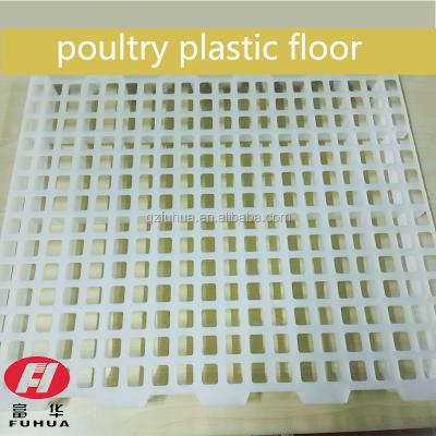 China Plastic Chicken and Duck Poultry Equipment Salt Floor for Chicken or Duck for sale