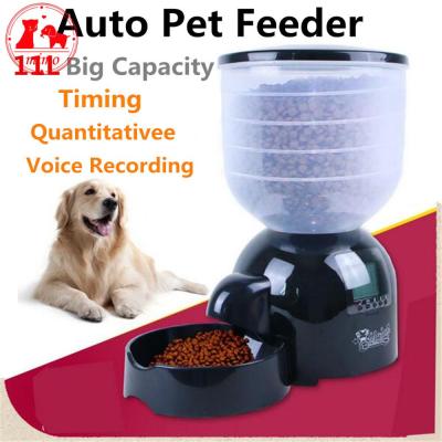 China 11L Auto Automatic Pet Feeder With Voice Message Recording Large And LCD Screen Dogs Cat Food Bowl Dispenser for sale