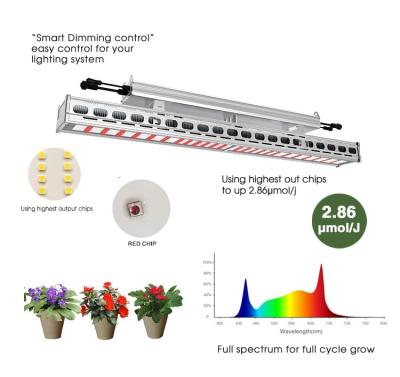 China Seed Starting Sundopt Best Led Grow Light 2020 With High PPFD No Fan Design Commercial Led Grow Light For Indoor Growing Led for sale