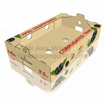 China Customized Size Recyclable One Piece Foldable Corrugated Tray 5kg Blueberry Box for sale