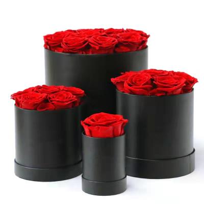 China Hot Sale Preserved Amazon Rose Valentine's Day Gift Birthday Gift In Round Gift Box Last Up To 3 Years Long-Last Rose Gift For Festival for sale