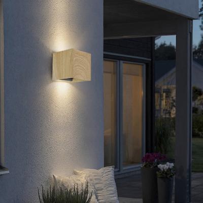 China Outdoor 10W LED Courtyard Wall Lamp Through Aluminum Decorate Outdoor Indoor Outdoor Wall Light Waterproof LED Lighting for sale