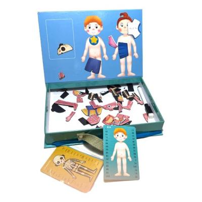 China Early Educational Plastic Toys Children DIY Book Magnetic Brain Teaser Magnet Puzzle for sale