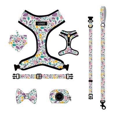 China Wholesale Designer Stocked Dog Collar and Leash Set with Bandana and Poop Bag for sale