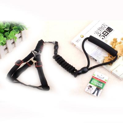 China Hot Selling Selection Multicolor Portable Dog Collar Personalized Padded Pet Collar for sale