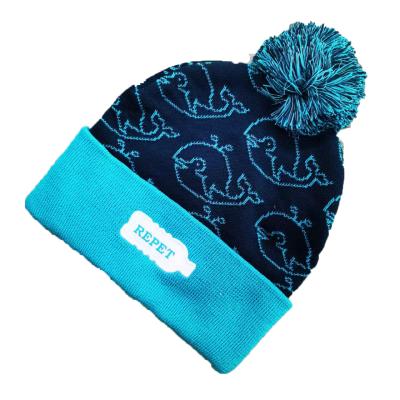 China Top Selling Character Soft 100% Polyester Blue / White Indoor Girls Beanie Hat for sale