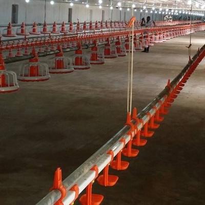 China D25mm Rohr-Geflügelfarm-Wassersystem, Hühner-Selbstbewässerungssystem zu verkaufen