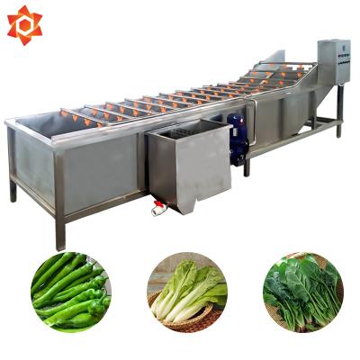 China Snack Factory Air Bubble Vegetable Washing Machine Home Leaf Vegetable Washing Machine for sale