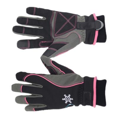 China Fashion Battery Heated Gloves Battery Ski Gloves Motorcycle Warm Gear Indoor Fashion Winter for sale