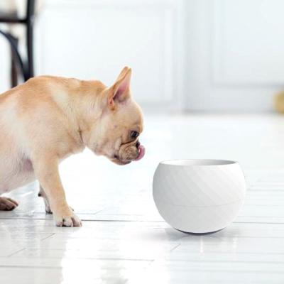 China 2021 New Design Sustainable Dog Slow Feeding Bowl Colored Anti Clog Plastic Dog Eating Feeding Bowls for sale