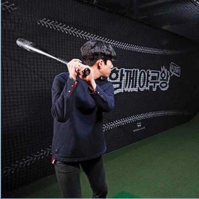 China Indoor Matal+Wooden+Perspex AR Baseball Simulator Sports Game Machine For Sale en venta