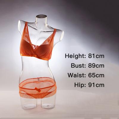 China The other type fashion transparent mannequin female torso bra mannequin for underwear for sale