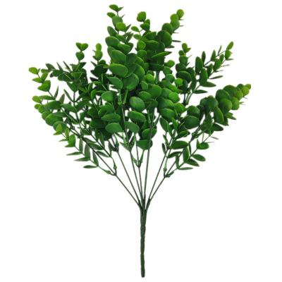 China Best quality plastic for workshop support eucalyptus for sale