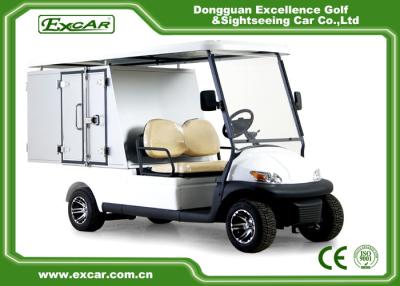 China Utility 48V Battery Hotel Buggy Car With Cargo Excar 2 Seater Buggy for sale