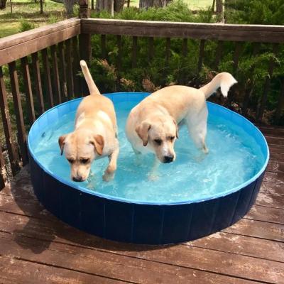 China 160cm Extra Large Sustainable Portable Dog Pet Swimming Pool Plastic Folding Pets Tub for sale