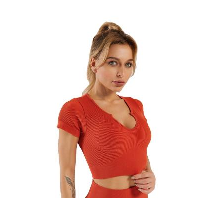 China New Style Women Fitness Yoga Wear Sports Apparel Breathable Seamless Crop Workout Yoga Top Shirt for sale