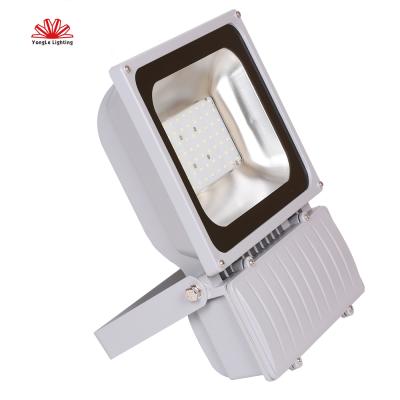 China Theme park high power outdoor waterproof smd ip65 100w led flood light for sale