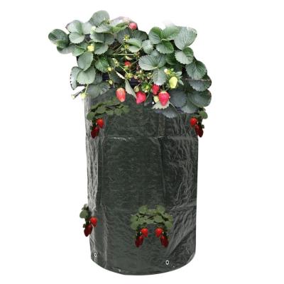 China Garden Planter Bag PE Planter Bag Growing Strawberry Planting Bags With Drainage Side Planting Pockets And Holes for sale