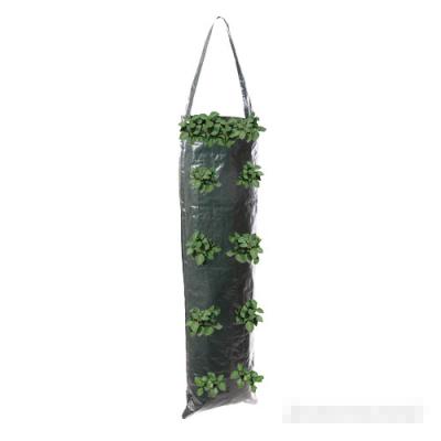 China Garden Growing Hanging Planter Bag PE Growing Tube With 8 Planting Slots for sale