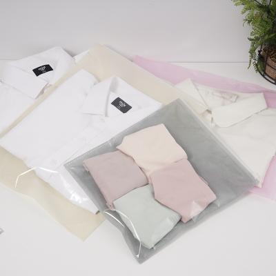 China Household Factory Wholesale Price Cpp Matching Clothes Zipper Bag for sale