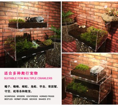 China Small Animals Customized Wholesale PVC Horned Frog Fence Cages Reptile Mini Greenhouse Glass Cage Made By Acrylic for sale