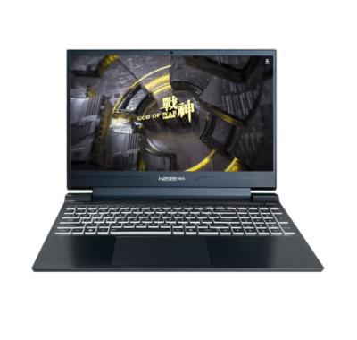 China HASEE Zhanshen S8 D6 15.6 inch Gamebook Laptop i7 Wireless Core (i7-12650H 16G 512G RTX4060 144Hz) for sale