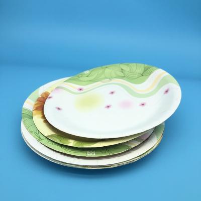 China Disposable Customized Disposable Paper Plates 6