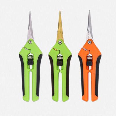 China Anti-skid Handle Colorful Stainless Steel Bonsai Fruit Fruit Shears Garden Scissors Trimming Pruners for sale