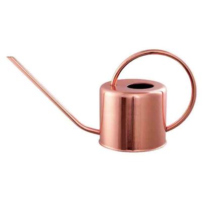 China Retro Style Nordic Minimalist Style Clad Metal Watering Can Garden Irrigate Water Cans for sale