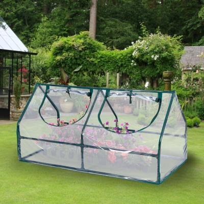 China Wholesale Easily Assembled Double Window Mini Pvc Greenhouses Kit Garden Transparent Greenhouses for sale