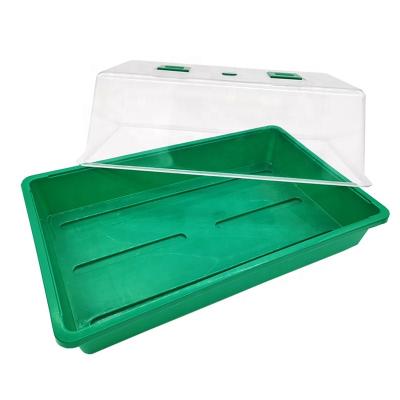 China Durable Classic Green PP Plastic Propagator Kit Seed Propagation Tray With Dome for sale